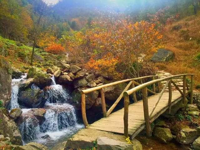 沪江开心词场